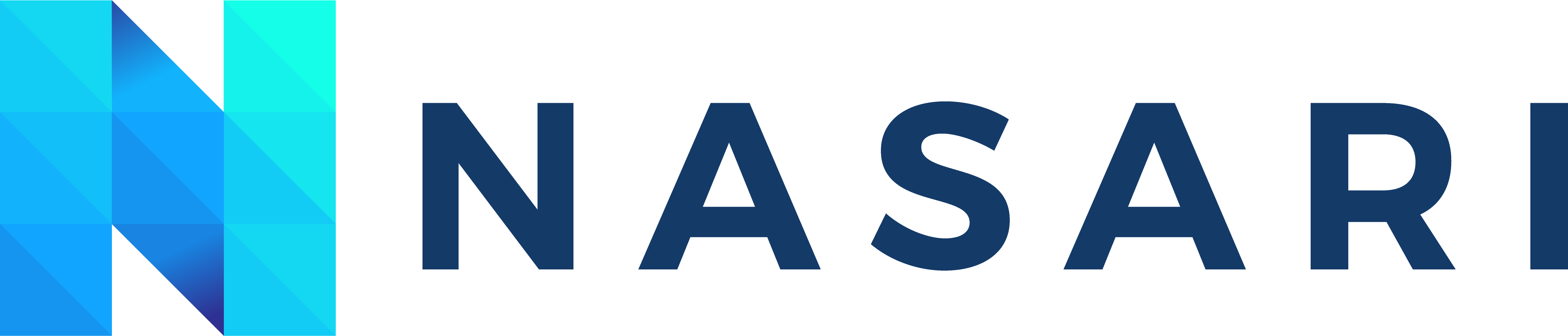 Nasari Consulting Logo